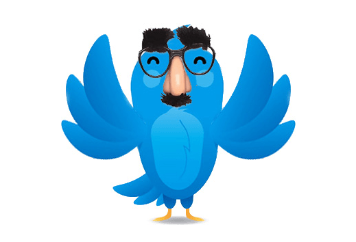 Twitter seguidores